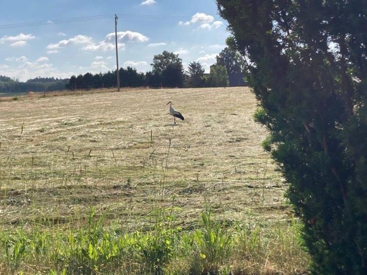 Stf Vandrarhem Blentarp Exteriér fotografie