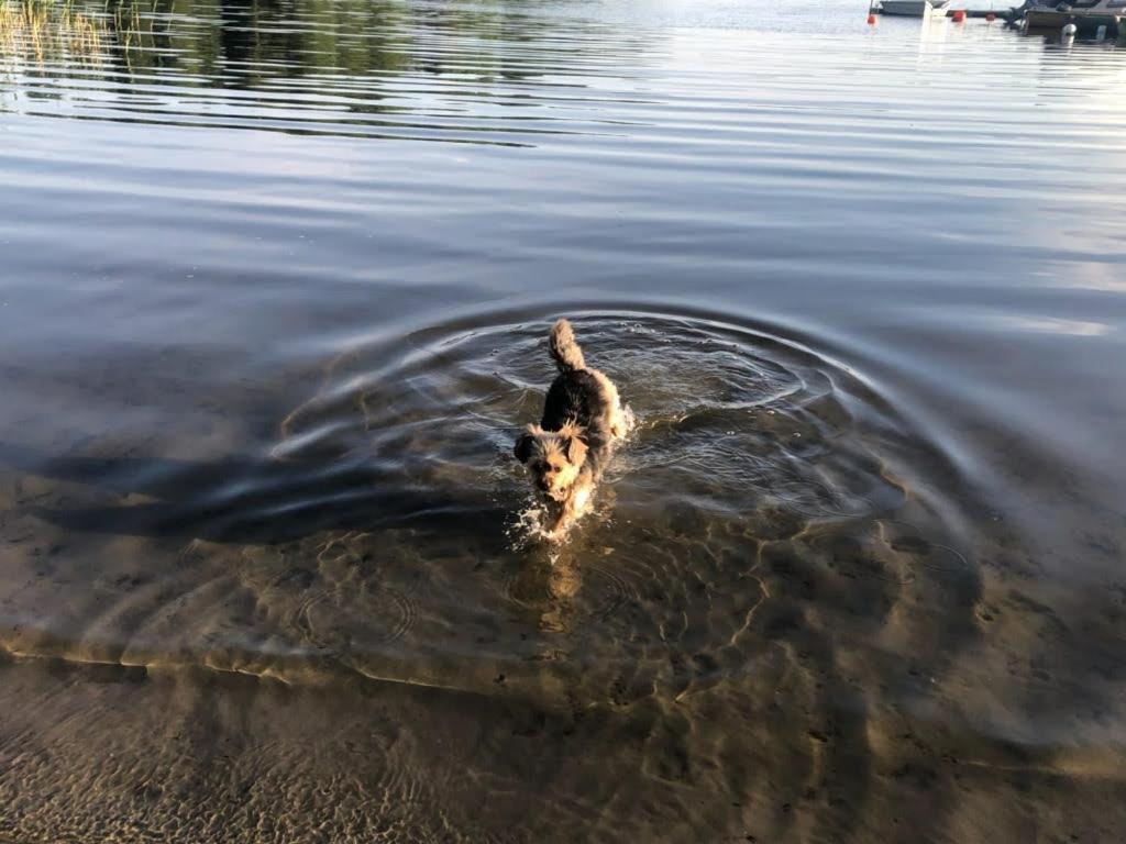 Stf Vandrarhem Blentarp Exteriér fotografie