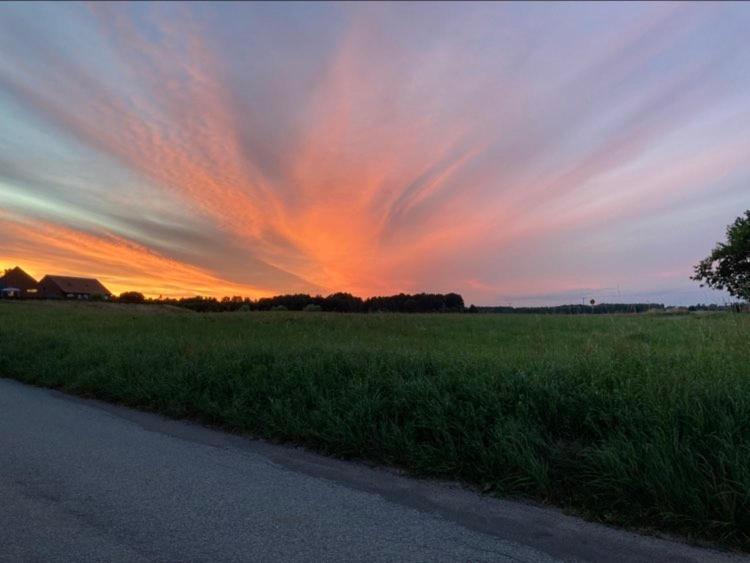 Stf Vandrarhem Blentarp Exteriér fotografie